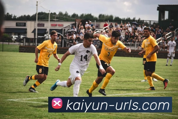 开云APP 高清赛事图